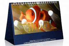 Календарь Бумажный